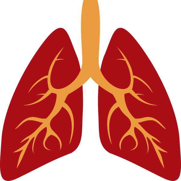 Dr. Petrovici Andreea, Pneumologue, Somnologue